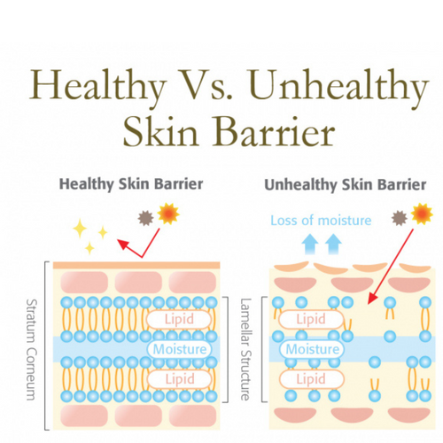 Healthy skin how