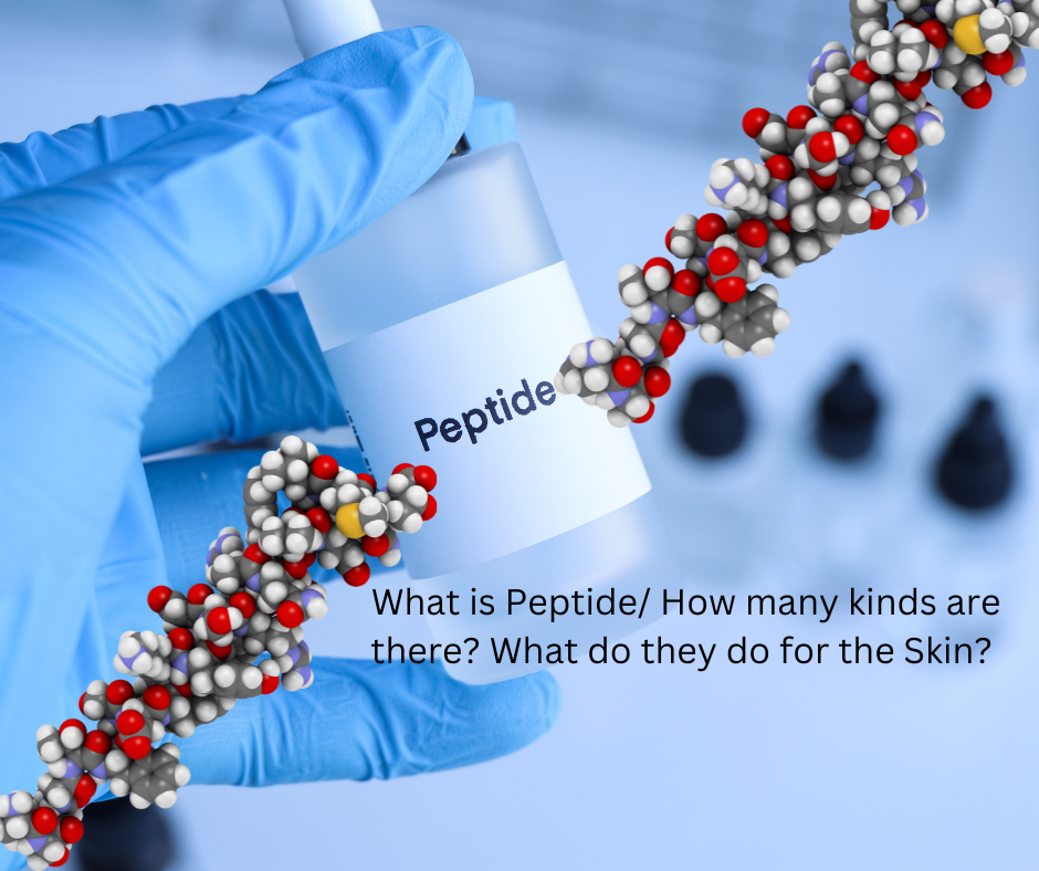 What is Peptide? How many are there? How does it works?