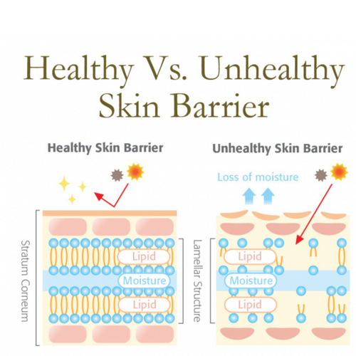 Healthy skin how 