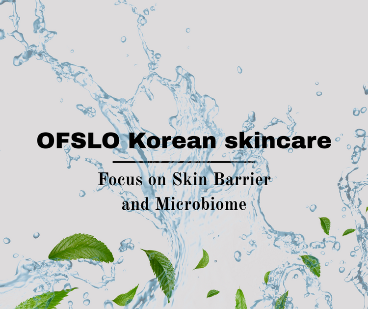 Ofslo Korean
